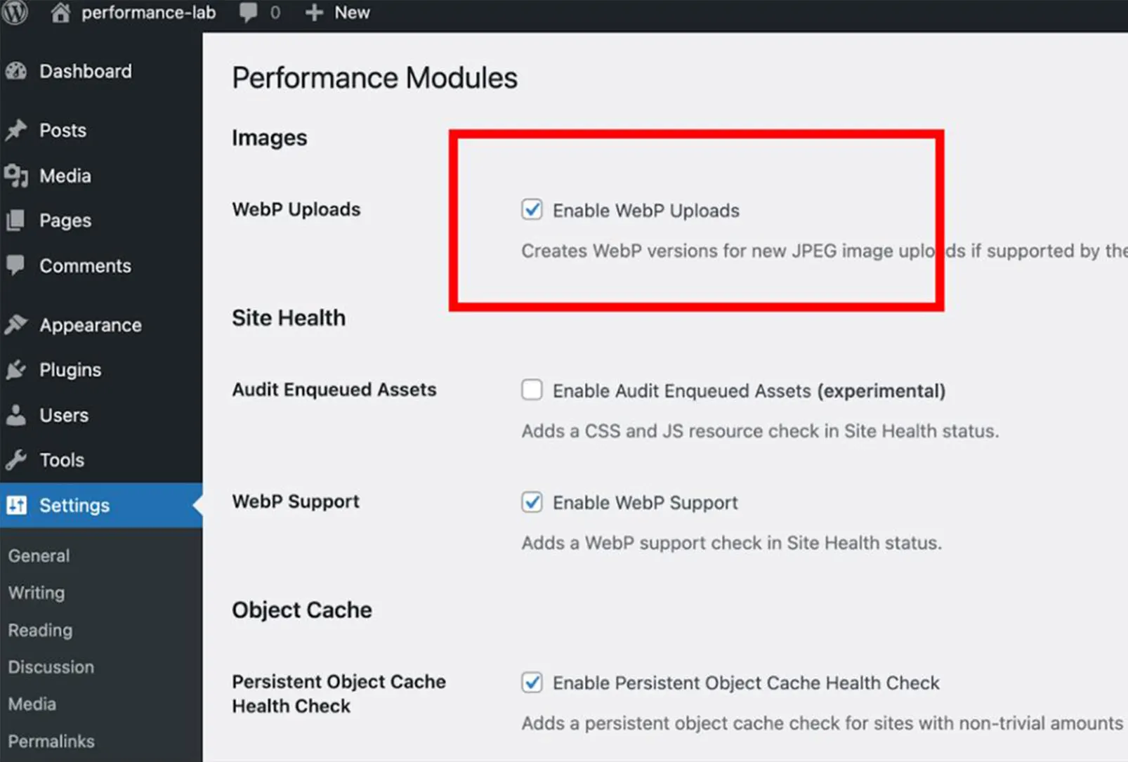 Fast Loading WordPress Website